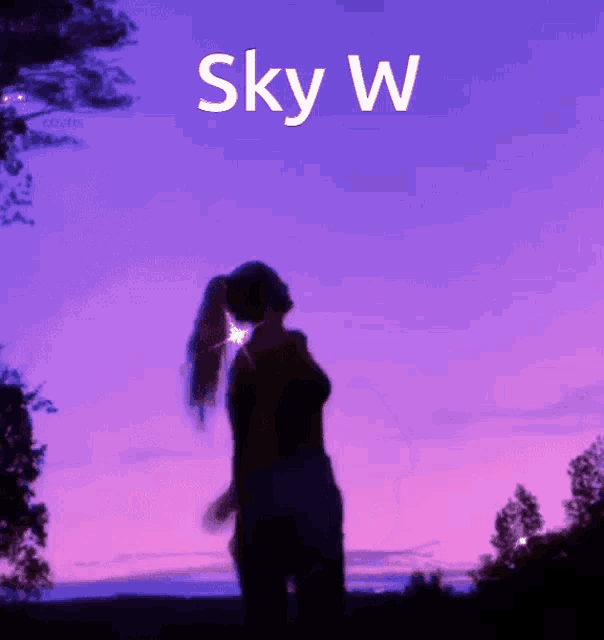 Sky W GIF