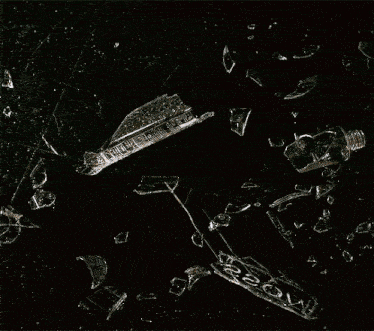 Skye Riley Skye GIF