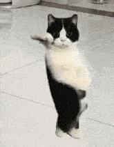 Skynet Skyboy GIF
