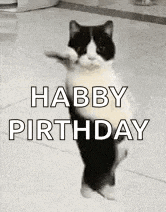Skynet Skyboy GIF