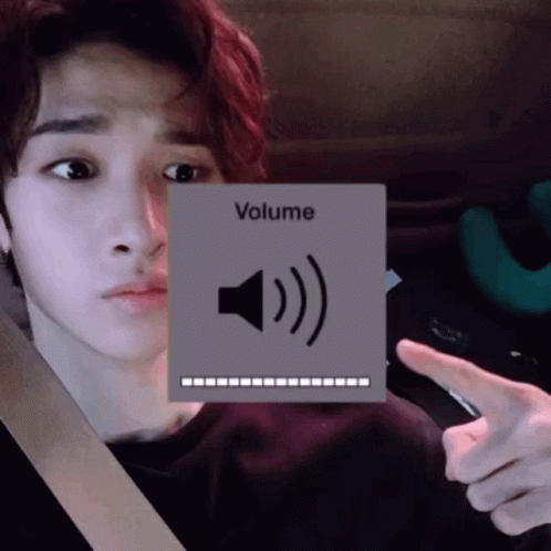 Skz Straykids GIF