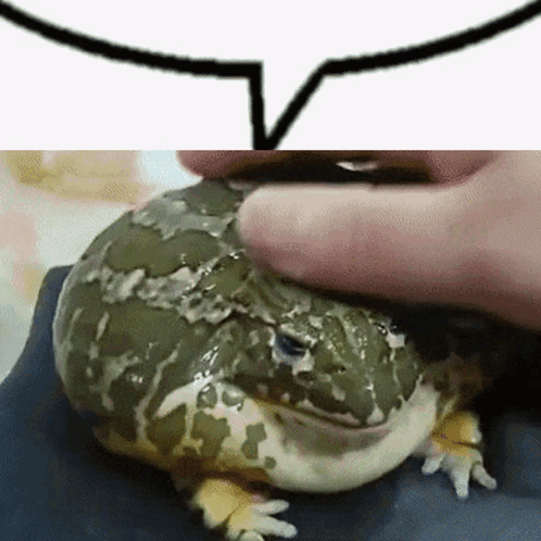 Slap GIF