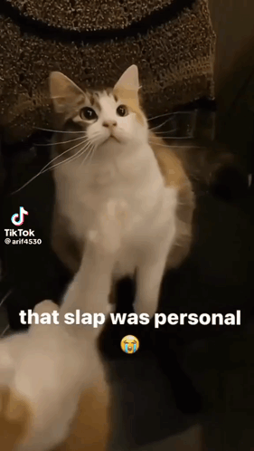 Slap GIF