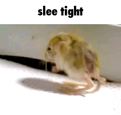 Slee Tight Goo Night GIF