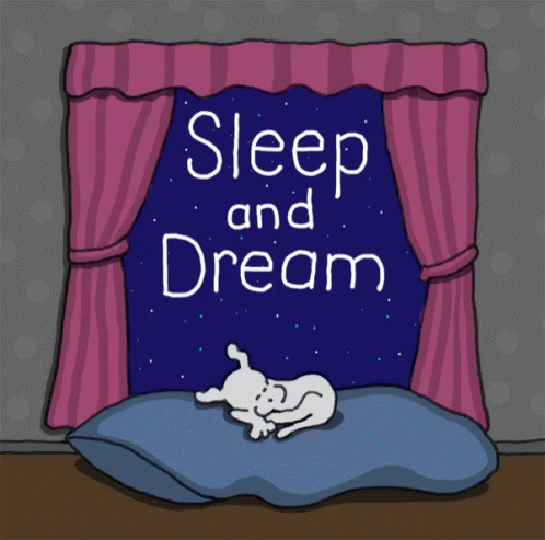 Sleep And Dream Goodnight GIF. This 498 x 493 animated GIF is part of our schlaf gut und traum was schones collection. Related themes include goodnight…
