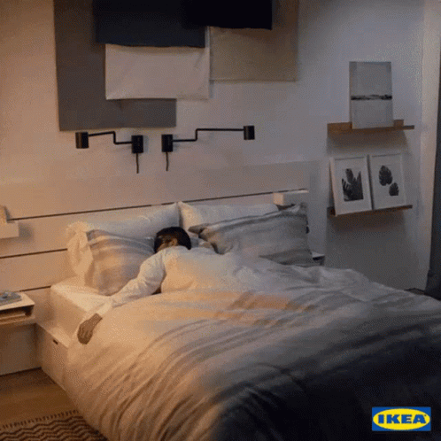 Sleep GIF