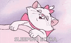 Sleep Cat GIF