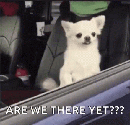 Sleep Dog GIF
