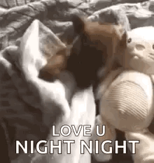 Sleep Go To Sleep GIF