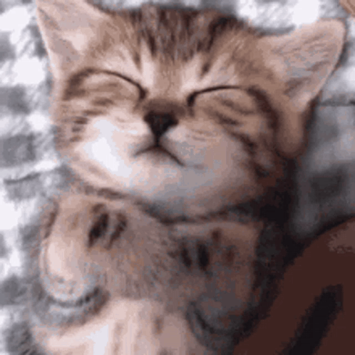 Sleep GIF