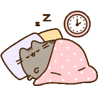 Sleep Pusheen Sticker