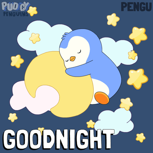 Sleep Sleeping GIF