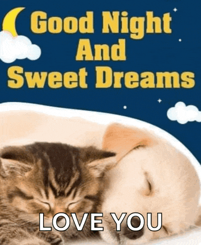 Sleep Tight Meme