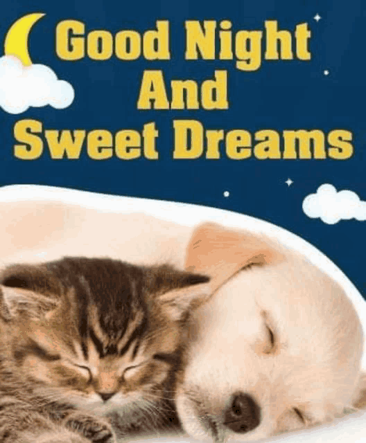 Sleep Tight Meme