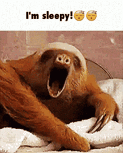 Sleep Time GIF