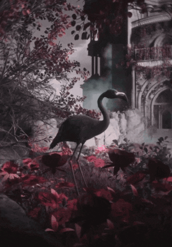 Sleep Token Black Flamingo GIF