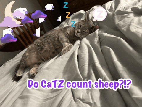 Sleep Well Cats GIF