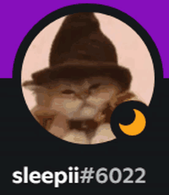 Sleepii Teminite Meme