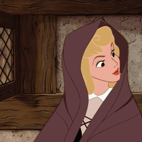 Sleeping Beauty Aurora GIF