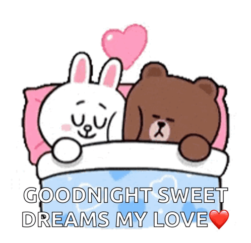 Sleeping Brown And Cony GIF