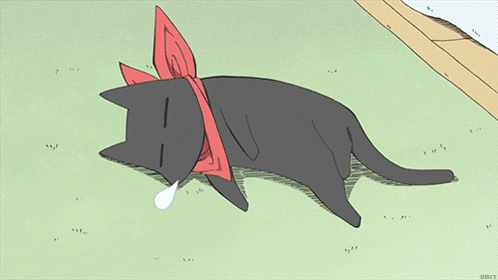 Sleeping Cat GIF