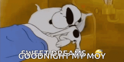 Sleepy Asleep GIF