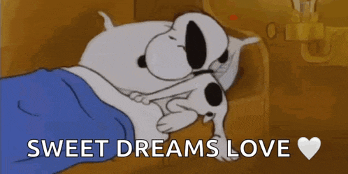 Sleepy Asleep GIF