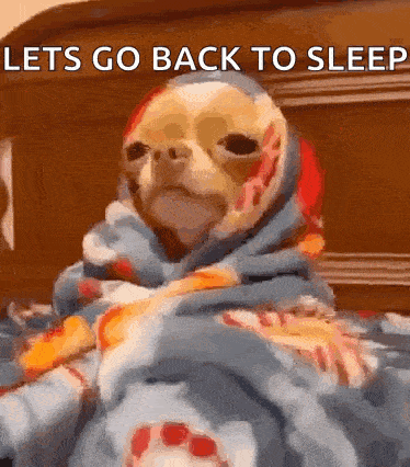 Sleepy Sleeping GIF