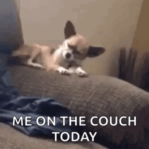 Sleepy Tired GIF