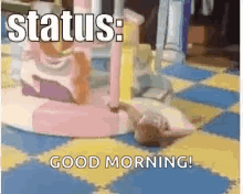 Sleepy Tired GIF