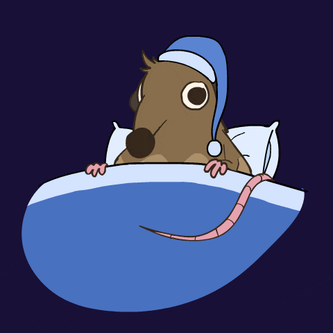 Sleepy Tired GIF