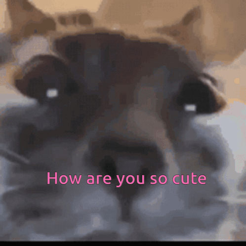 Sleepypancwake Pancake GIF
