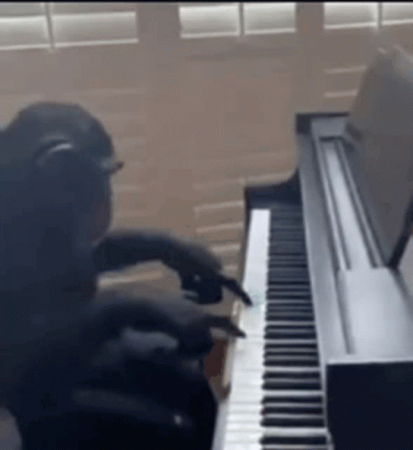 Sleezeymir Monkey GIF