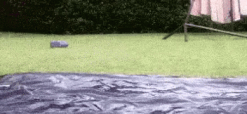 Slide GIF
