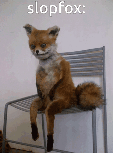 Slopfox Slop Fox GIF