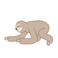 Sloth Animal Sticker