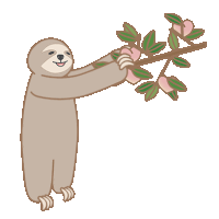Sloth Animal Sticker
