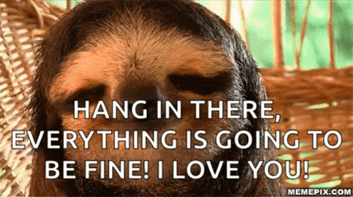Sloth Cute GIF. This 498 x 278 animated GIF is part of our honey youve got a big storm coming collection. Related themes include cute. Created by…