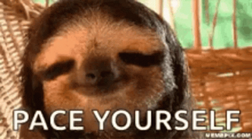 Sloth Pace Yourself GIF