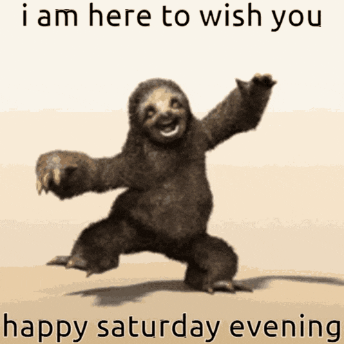 Sloth Wishes GIF