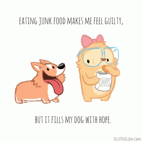 Slothilda Sloth GIF