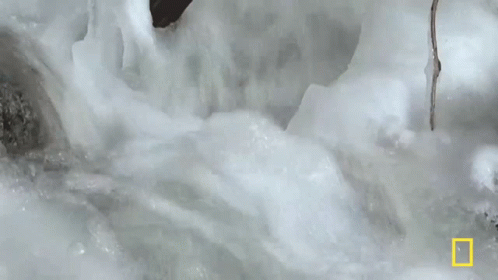 Slushy Water Foamy Water GIF. This 498 x 280 animated GIF is part of our moving water collection. Created by nationalgeographic. View the original…
