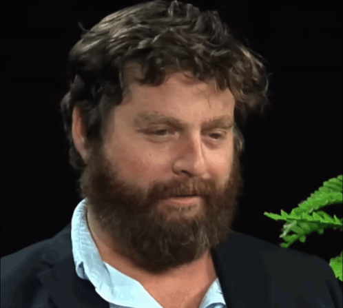 Sly Smile Zach Galifianakis GIF