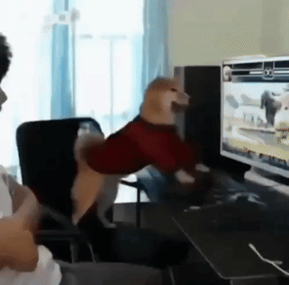 Smash Keyboard Rage GIF