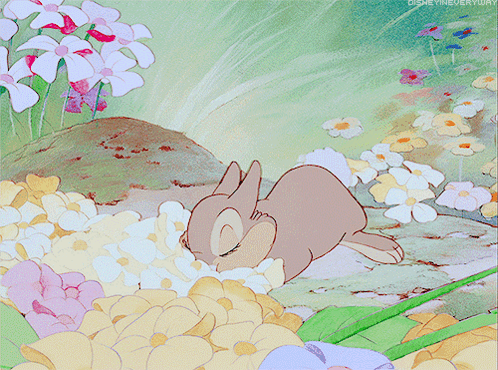 Smell The Flowers Aesthetic GIF. This 498 x 370 animated GIF is part of our tambor bambi collection. Related themes include aesthetic, cute, disney. Created…
