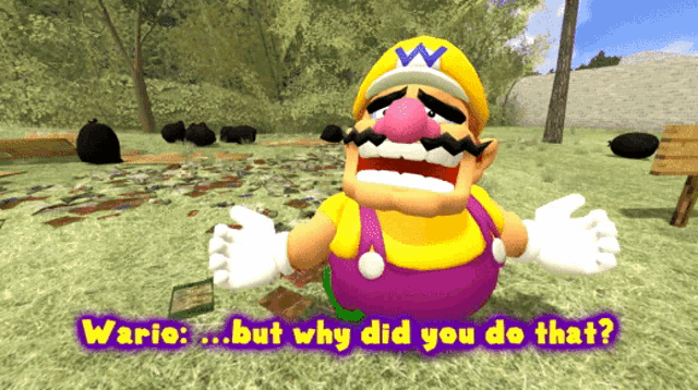 Smg4 Wario GIF