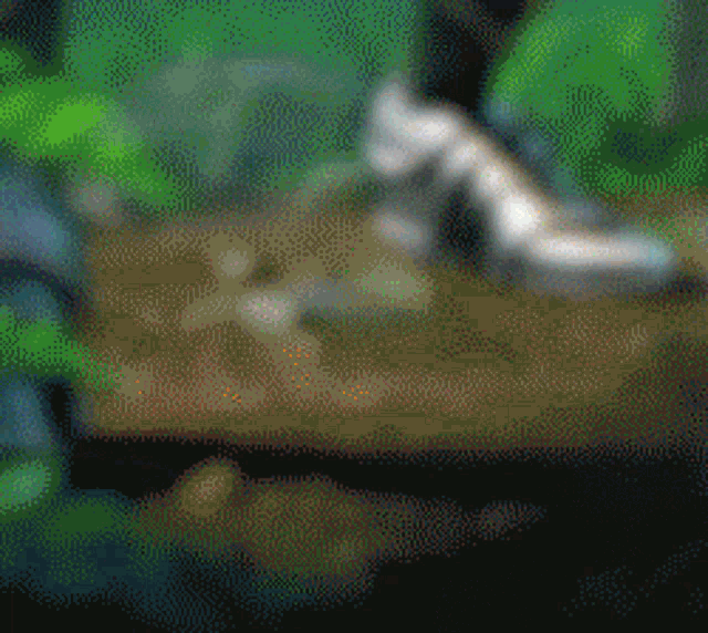 Smgclan Smggaming GIF