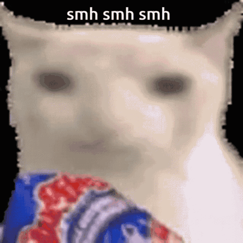 Smh Cat GIF