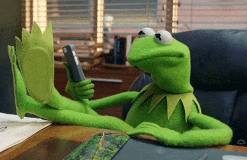 Smh Kermit GIF