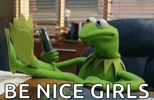 Smh Kermit GIF